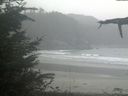 ./images/calvert/beach/20211015/beach20211015_134503.jpg