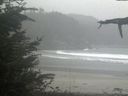 ./images/calvert/beach/20211015/beach20211015_135002.jpg