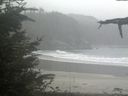 ./images/calvert/beach/20211015/beach20211015_135502.jpg