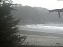 ./images/calvert/beach/20211015/beach20211015_141502.jpg