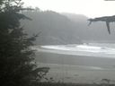 ./images/calvert/beach/20211015/beach20211015_144501.jpg