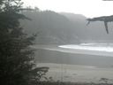 ./images/calvert/beach/20211015/beach20211015_154503.jpg