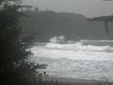 ./images/calvert/beach/20211020/beach20211020_125003.jpg