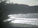 ./images/calvert/beach/20211023/beach20211023_134003.jpg
