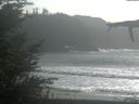./images/calvert/beach/20211023/beach20211023_151503.jpg