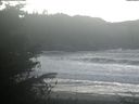 ./images/calvert/beach/20211024/beach20211024_135003.jpg