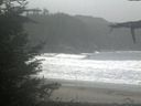 ./images/calvert/beach/20211026/beach20211026_135501.jpg