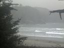 ./images/calvert/beach/20211026/beach20211026_140002.jpg