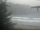 ./images/calvert/beach/20211026/beach20211026_140501.jpg