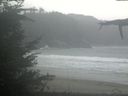 ./images/calvert/beach/20211026/beach20211026_141002.jpg