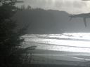 ./images/calvert/beach/20211027/beach20211027_144002.jpg