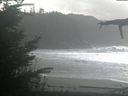 ./images/calvert/beach/20211027/beach20211027_145503.jpg