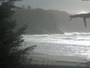 ./images/calvert/beach/20211027/beach20211027_151003.jpg