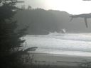 ./images/calvert/beach/20211027/beach20211027_154502.jpg