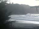 ./images/calvert/beach/20211027/beach20211027_155501.jpg