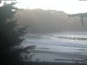 ./images/calvert/beach/20211031/beach20211031_094502.jpg