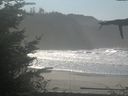 ./images/calvert/beach/20211031/beach20211031_131002.jpg