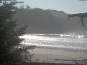 ./images/calvert/beach/20211031/beach20211031_131501.jpg