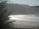 ./images/calvert/beach/20211031/beach20211031_132002.jpg