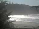 ./images/calvert/beach/20211031/beach20211031_132501.jpg