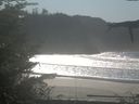 ./images/calvert/beach/20211031/beach20211031_133502.jpg