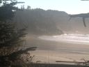 ./images/calvert/beach/20211031/beach20211031_165002.jpg