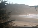 ./images/calvert/beach/20211031/beach20211031_170502.jpg