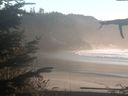 ./images/calvert/beach/20211031/beach20211031_171003.jpg