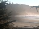 ./images/calvert/beach/20211031/beach20211031_171503.jpg