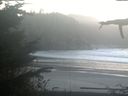 ./images/calvert/beach/20211031/beach20211031_180502.jpg
