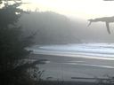 ./images/calvert/beach/20211031/beach20211031_181001.jpg