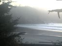 ./images/calvert/beach/20211031/beach20211031_181502.jpg