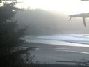 ./images/calvert/beach/20211031/beach20211031_182001.jpg