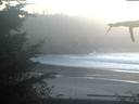 ./images/calvert/beach/20211031/beach20211031_182501.jpg