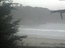 ./images/calvert/beach/20211103/beach20211103_094003.jpg