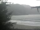 ./images/calvert/beach/20211105/beach20211105_111503.jpg