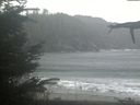 ./images/calvert/beach/20211105/beach20211105_121501.jpg