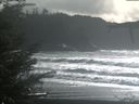 ./images/calvert/beach/20211105/beach20211105_145502.jpg