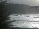 ./images/calvert/beach/20211105/beach20211105_151502.jpg