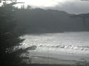 ./images/calvert/beach/20211106/beach20211106_121503.jpg