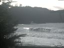 ./images/calvert/beach/20211106/beach20211106_124003.jpg