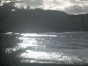 ./images/calvert/beach/20211106/beach20211106_133503.jpg