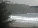 ./images/calvert/beach/20211107/beach20211107_114003.jpg