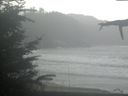./images/calvert/beach/20211107/beach20211107_115002.jpg