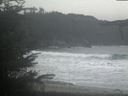 ./images/calvert/beach/20211107/beach20211107_115503.jpg