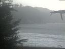 ./images/calvert/beach/20211107/beach20211107_140503.jpg