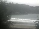 ./images/calvert/beach/20211109/beach20211109_125003.jpg