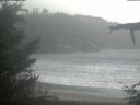 ./images/calvert/beach/20211109/beach20211109_131002.jpg