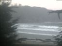 ./images/calvert/beach/20211112/beach20211112_081503.jpg