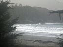 ./images/calvert/beach/20211112/beach20211112_090501.jpg